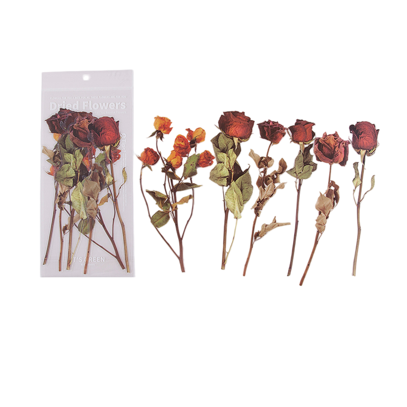 6pcs Dried Flowers & Plants Decorative Waterproof PET DIY Scrapbook Stickers
