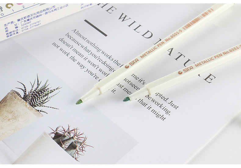 10pcs Metallic Marker Pens
