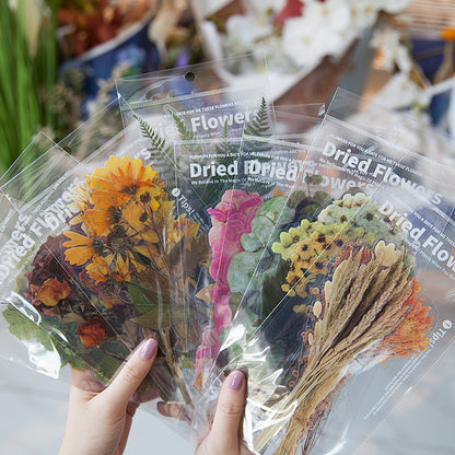 6pcs Dried Flowers & Plants Decorative Waterproof PET DIY Scrapbook Stickers
