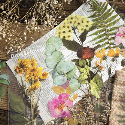 6pcs Dried Flowers & Plants Decorative Waterproof PET DIY Scrapbook Stickers