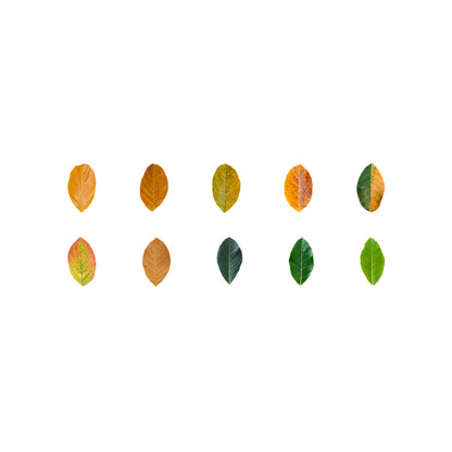 1 Roll (50pcs) Champs Elysees Fallen Leaves Series DIY Washi Tape