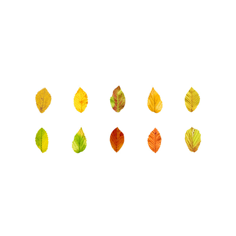1 Roll (50pcs) Champs Elysees Fallen Leaves Series DIY Washi Tape