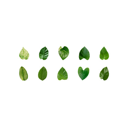 1 Roll (50pcs) Champs Elysees Fallen Leaves Series DIY Washi Tape