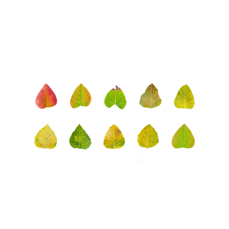 1 Roll (50pcs) Champs Elysees Fallen Leaves Series DIY Washi Tape