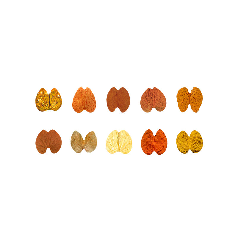 1 Roll (50pcs) Champs Elysees Fallen Leaves Series DIY Washi Tape