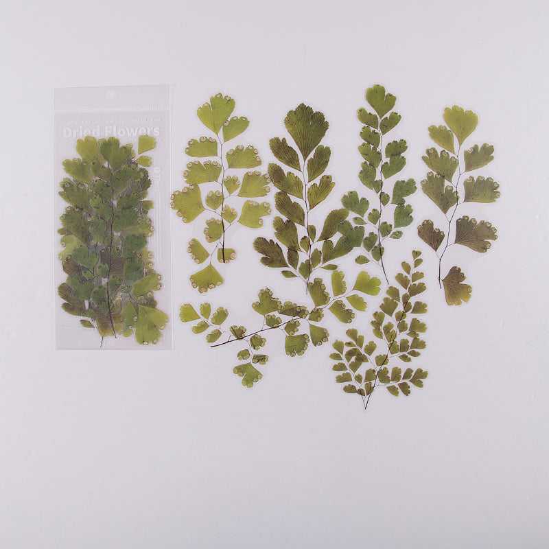 6pcs Dried Flowers & Plants Decorative Waterproof PET DIY Scrapbook Stickers