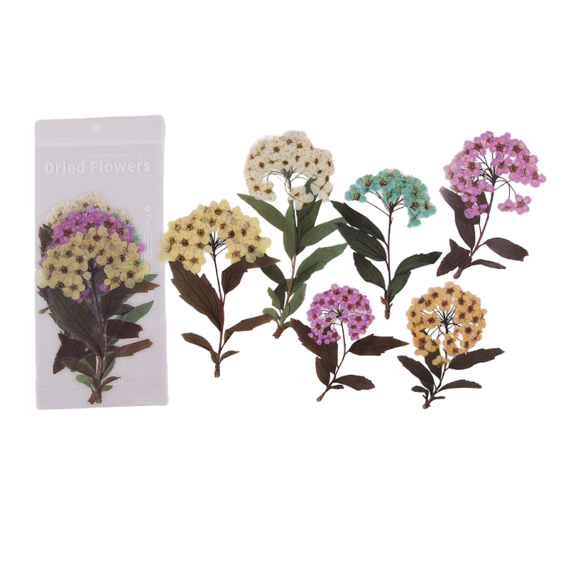 6pcs Dried Flowers & Plants Decorative Waterproof PET DIY Scrapbook Stickers