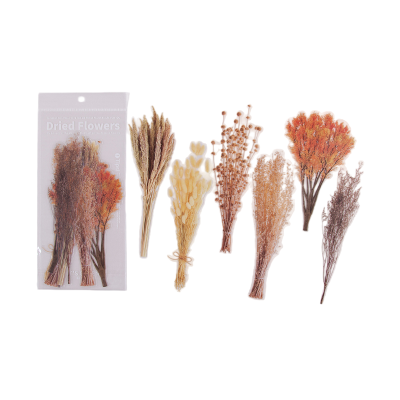 6pcs Dried Flowers & Plants Decorative Waterproof PET DIY Scrapbook Stickers