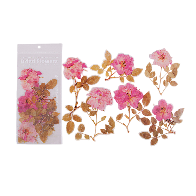 6pcs Dried Flowers & Plants Decorative Waterproof PET DIY Scrapbook Stickers