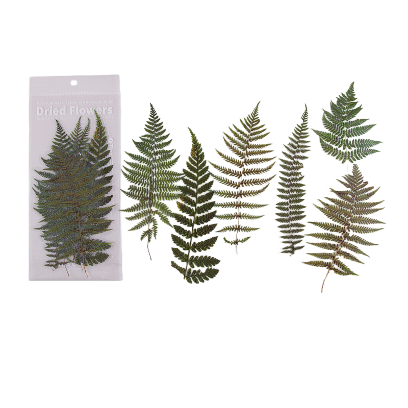 6pcs Dried Flowers & Plants Decorative Waterproof PET DIY Scrapbook Stickers