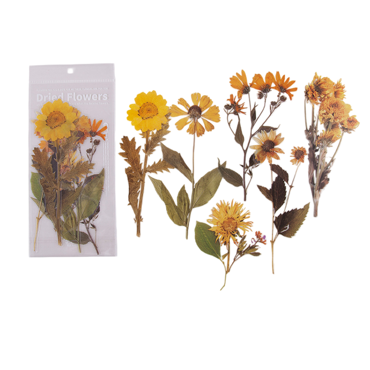 6pcs Dried Flowers & Plants Decorative Waterproof PET DIY Scrapbook Stickers