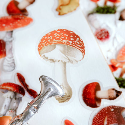 40pcs Botanical Leaves Flower Mushroom Ribbon DIY Decorative PET Stickers